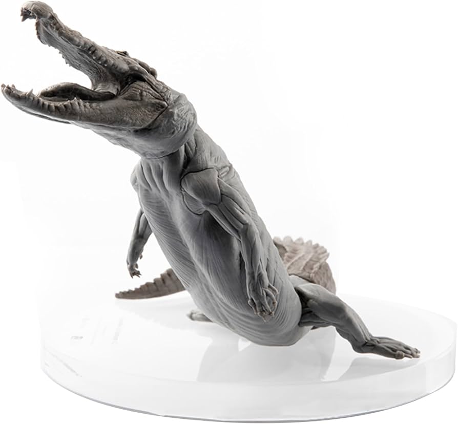 Amazon.co.jp: BACALYSO | EVO 1/8 サイズ ワニ 鰐 フィギュア 25cm級