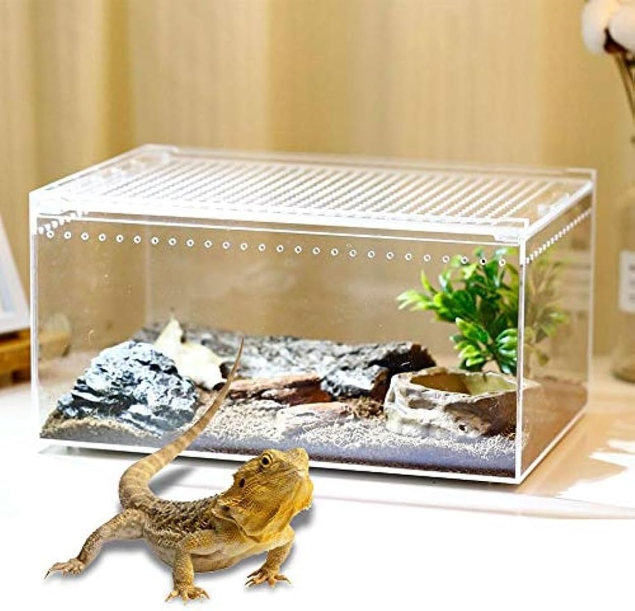 Amazon | Demanca 爬虫類 ケージ レプタイルボックス 爬虫類 ケージ