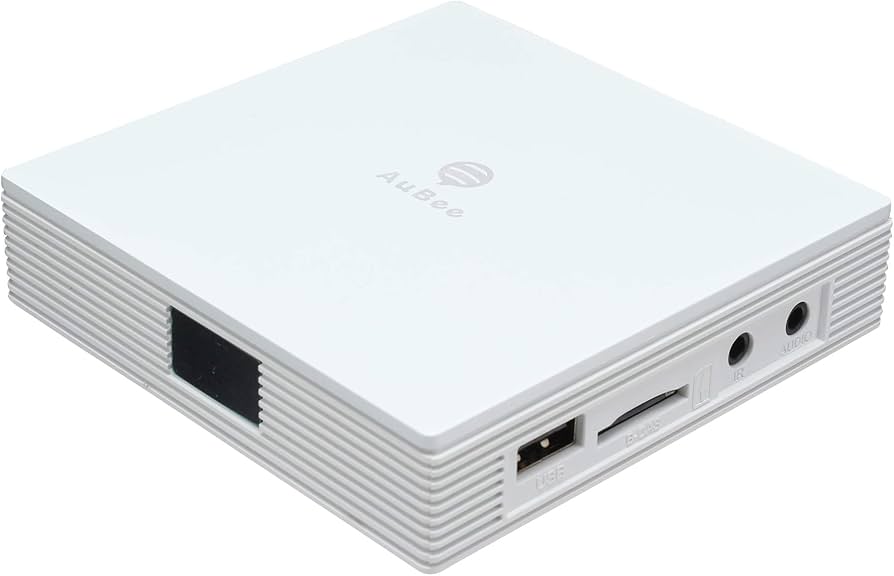 Amazon.co.jp: AuBee AUB-100 手のひらサイズ 地デジ BS/CS フル