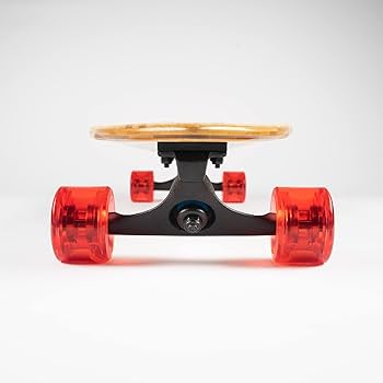 Amazon | Sector 9 フィジー コンプリートスケートボード 39.5インチ x