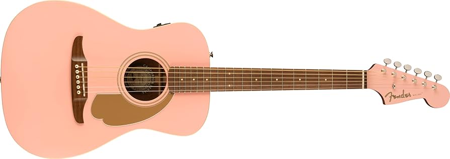 Amazon.co.jp: Fender フェンダー エレアコ FSR Malibu Player, Walnut