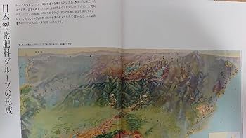 Amazon.co.jp: 《》風雪の百年 チッソ株式会社(日本窒素肥料水俣病会社