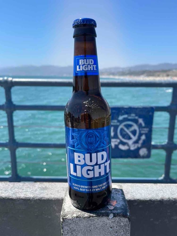 Amazon.co.jp: Bud Light(バドライト) 12本BOXセット : 食品