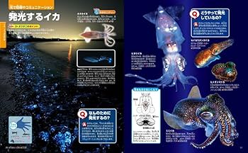 Amazon.co.jp: 水の中の生きもの (講談社の動く図鑑MOVE) : 講談社