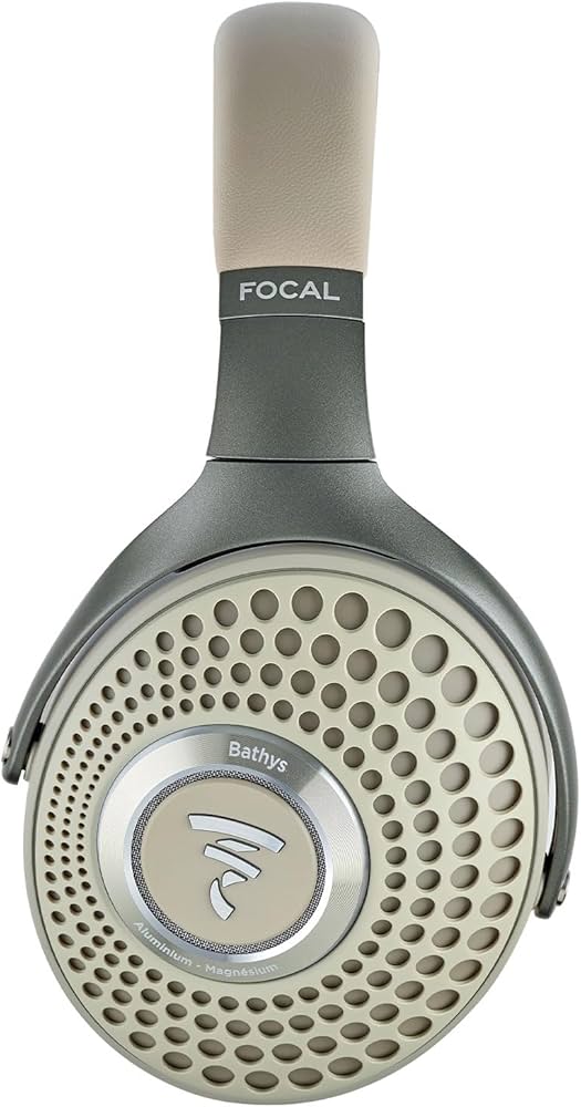 Amazon.com: Focal Bathys High-Fidelity Bluetooth Noise Cancelling