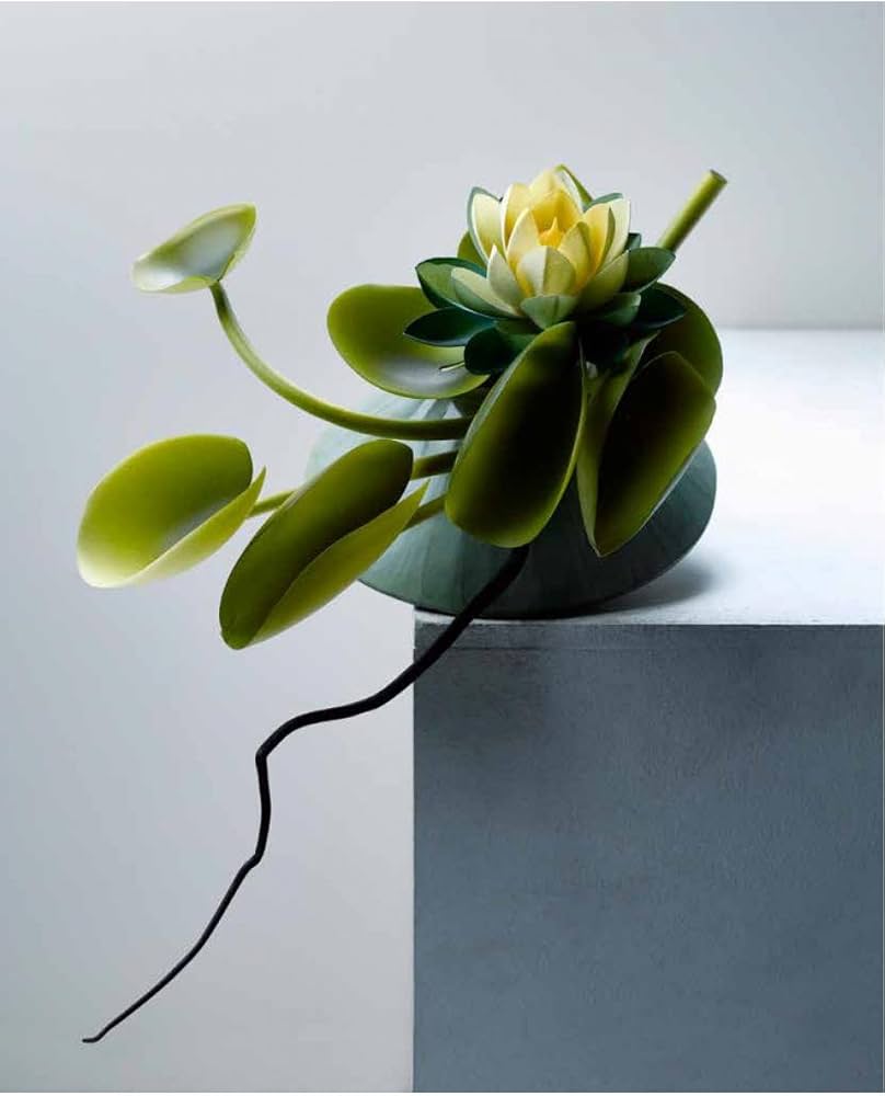 Amazon.fr - Stéphane Leroux. Bleu Chocolat - Leroux, Stephane