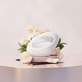 Amazon.com: Ariana Grande MOD Vanilla Eau De Parfum – Gourmand