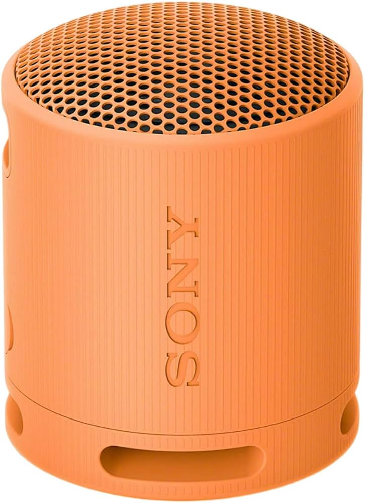 Amazon.com: Sony SRS-XB100 Wireless Bluetooth Portable Lightweight