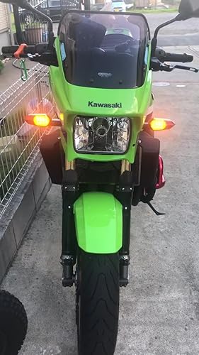 Amazon | ポッシュ(POSH) LEDウインカーカスタマイジングキット