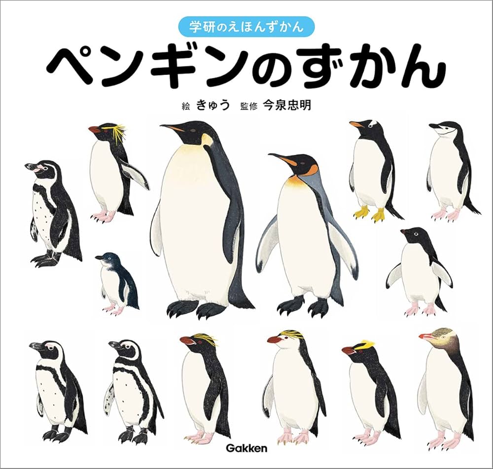 ペンギン 第二シリーズから第五シリーズ ペンギン 第二シリーズから第