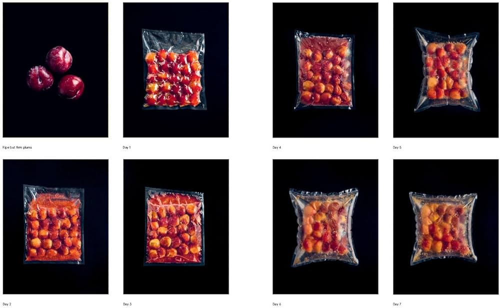 The Noma Guide to Fermentation: Including koji, kombuchas, shoyus