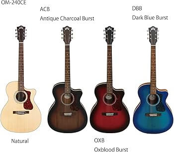 Amazon | GUILD (ギルド) エレアコギター アーチバック シリーズ