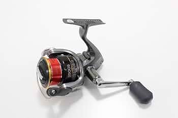 61bgOgOVShL._AC_UF350,