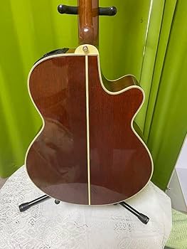 Amazon.co.jp: 長渕剛愛用 Takamine エレアコPT106 純正ハードケース付