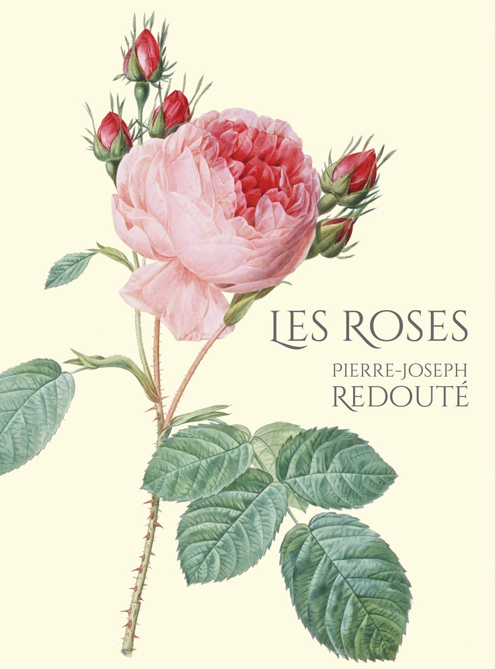 豪華愛蔵版 Les Roses バラ図譜 | ピエール・ジョセフ・ルドゥーテ |本