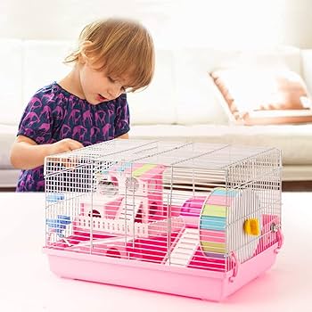 Amazon | Gifty モルモット ケージ 大きい ハリネズミ ハムスター