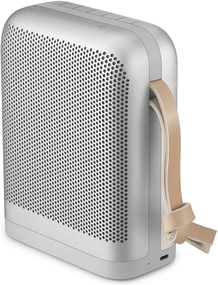 Amazon.com: Bang & Olufsen Beoplay P6 Portable Bluetooth Speaker