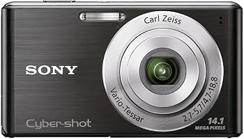 Amazon.com : Sony Cyber-Shot DSC-W530 14.1 MP Digital Camera with