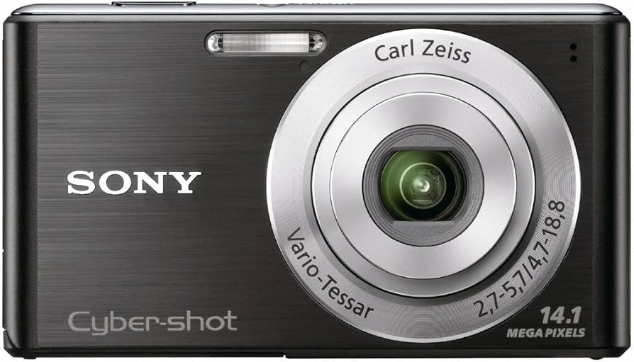 Amazon.com : Sony Cyber-Shot DSC-W530 14.1 MP Digital Camera with