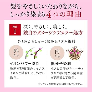 Amazon | 山田養蜂場 RJヘアカラートリートメント ダークブラウン 210g