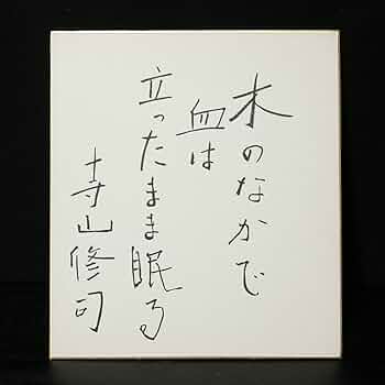 61c5DNZmgAL._AC_UF350,