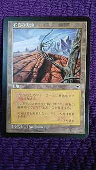 Wasteland 不毛の大地 FOIL 045/045 MTG Wasteland 不毛の大地 FOIL