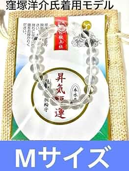 61cEV8ZD1jL._AC_UF350,