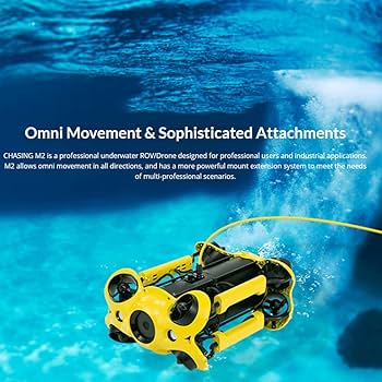 61cMIfl5wnL._AC_UF350,