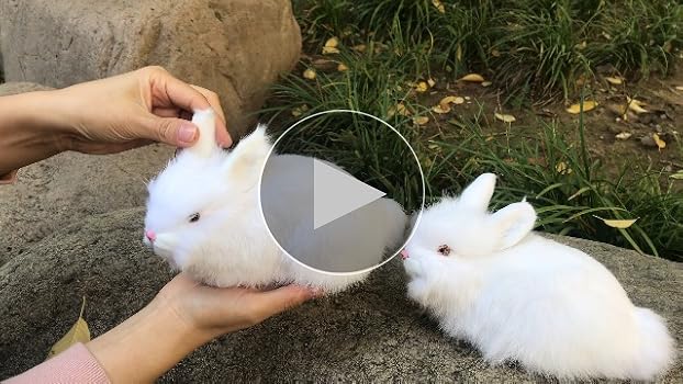 Amazon.com: Basuo-9Q 2 Realistic Rabbit Figurines -Stuffed Farm