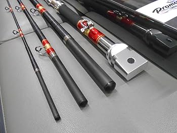 Amazon.co.jp: プロマリン名竿 クエ竿 レジェンダー豪腕クエ 480MH