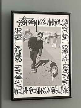 61cd6ZO3fRL._AC_UF350,