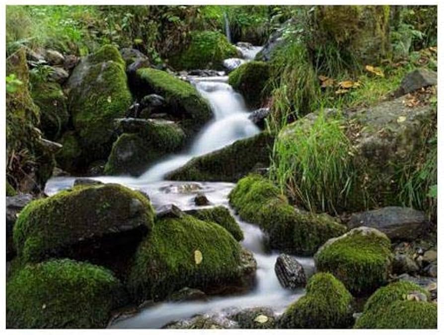 Amazon | Schneider Opticsニュートラル密度0.3フィルタ4 x 5.65