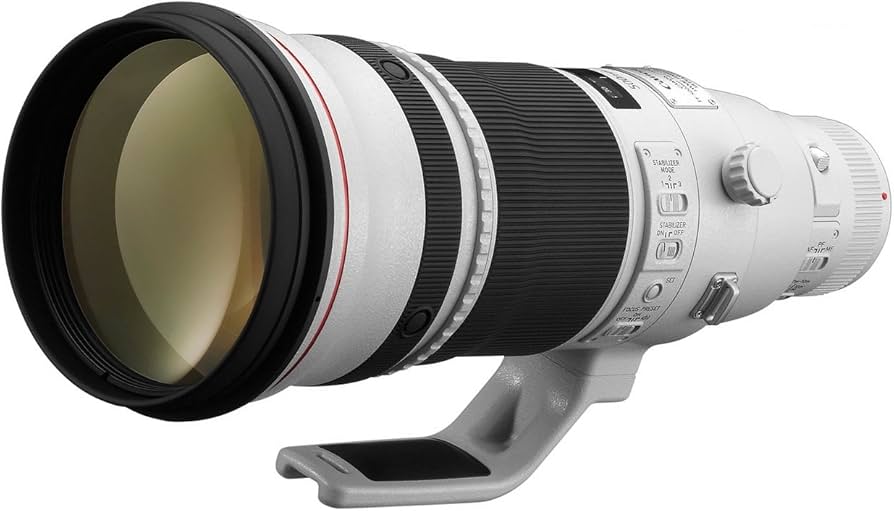 Amazon.com : Canon EF 500mm f/4L is II USM Lens : Camera Lenses
