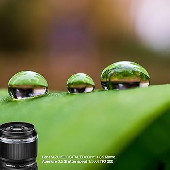 Amazon.co.jp: OM SYSTEM/オリンパス OLYMPUS マイクロフォーサーズ