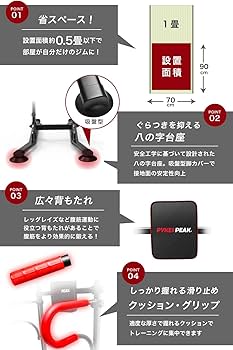 Amazon | PYKES PEAK (パイクスピーク) ぶら下がり健康器 懸垂マシン