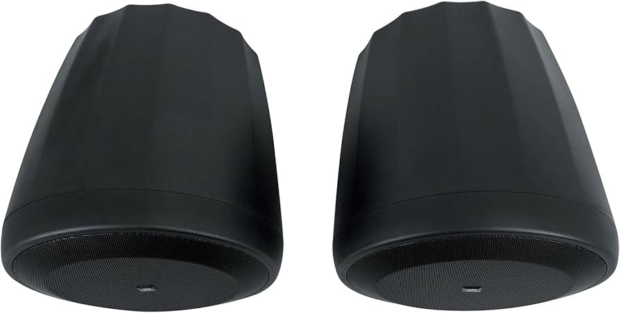 Amazon.com: JBL Professional C60PS/T Hanging Pendant Subwoofer