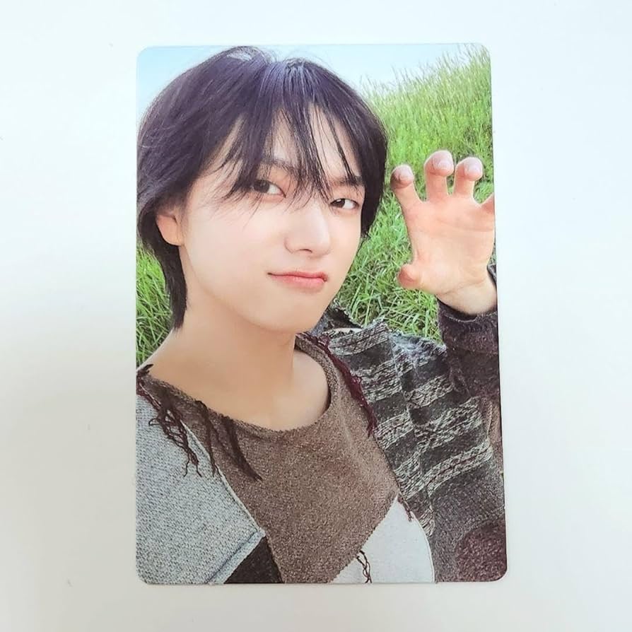 Amazon.co.jp: BOYNEXTDOOR ボイネク letter ソンホ トレカ : おもちゃ