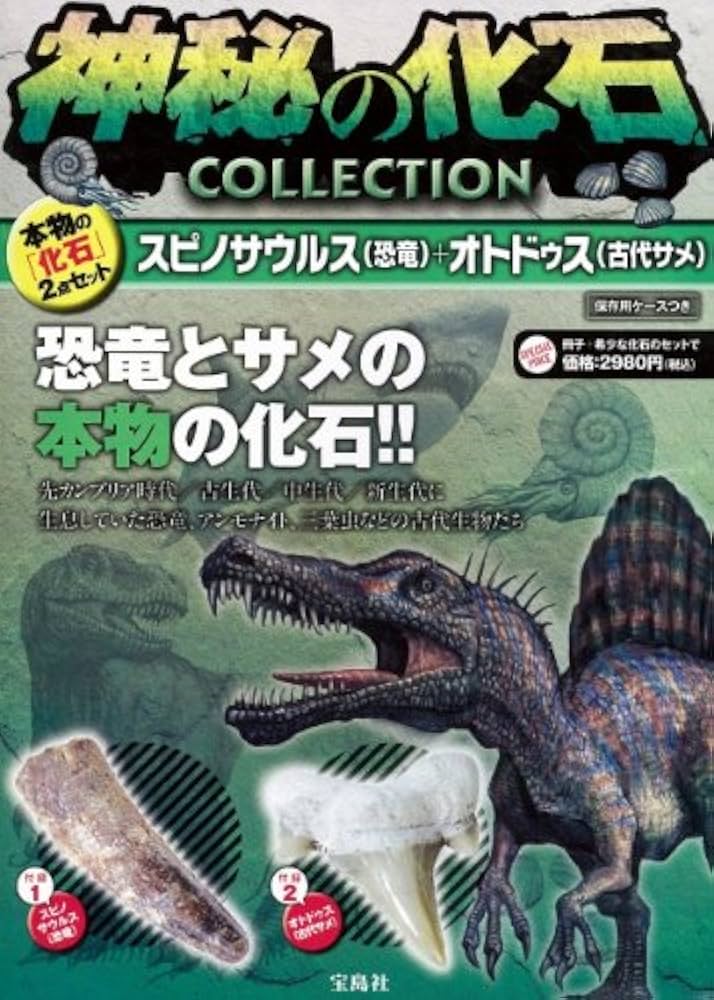 Amazon.co.jp: 神秘の化石COLLECTION スピノサウルス(恐竜)+オトドゥス