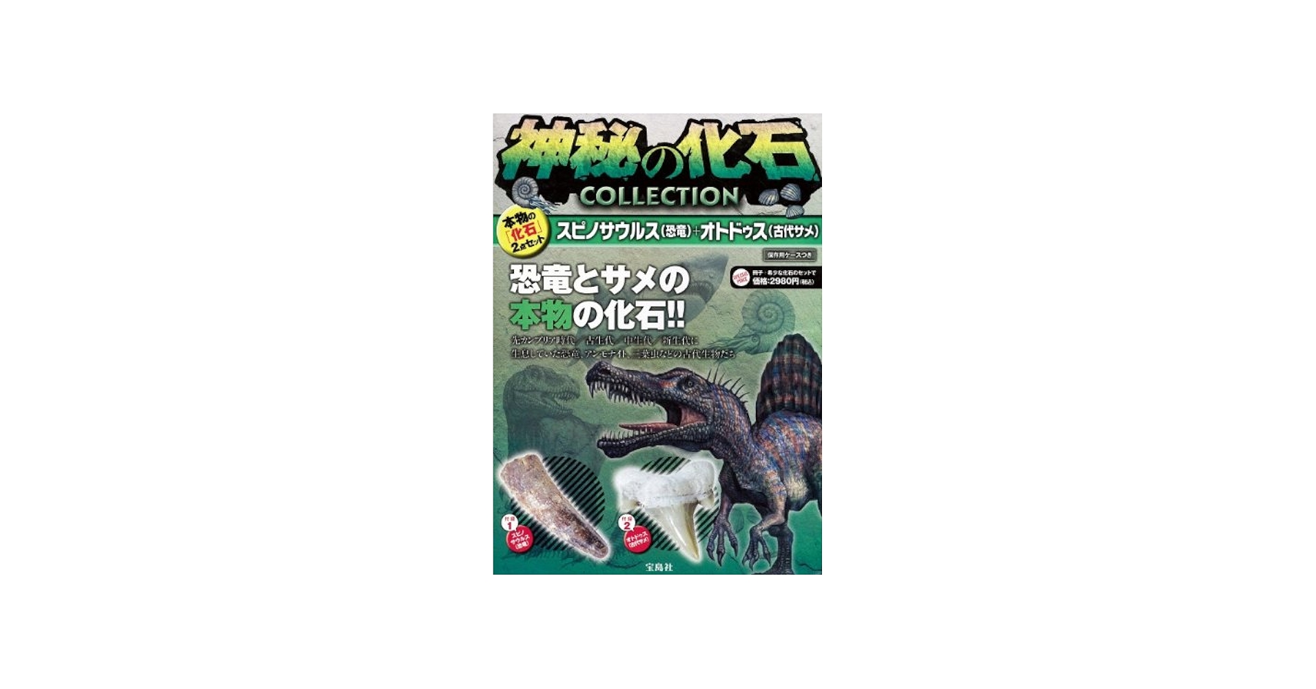 Amazon.co.jp: 神秘の化石COLLECTION スピノサウルス(恐竜)+オトドゥス