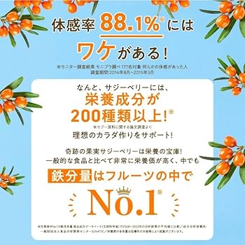 Amazon.co.jp: 豊潤サジー 1000ml サジージュース【紙パックタイプ