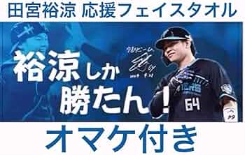 61eJMvi9myL._AC_UF350,