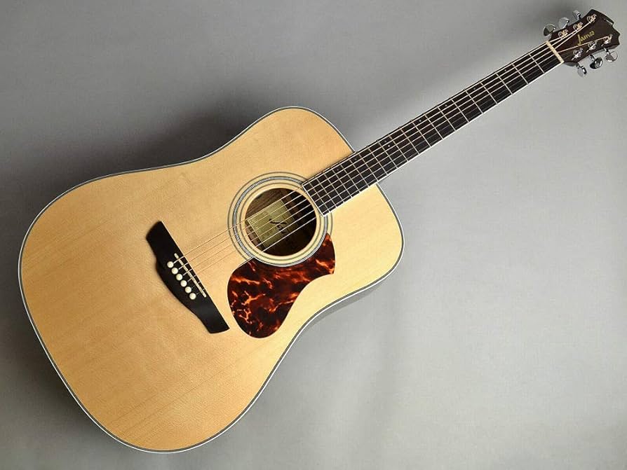 Amazon | James J-500D/Ova ナチュラル アコースティックギター