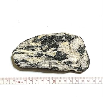 Amazon.co.jp: 青森県産 津軽錦石 珪化木 木化石 樹化石 原石 置石