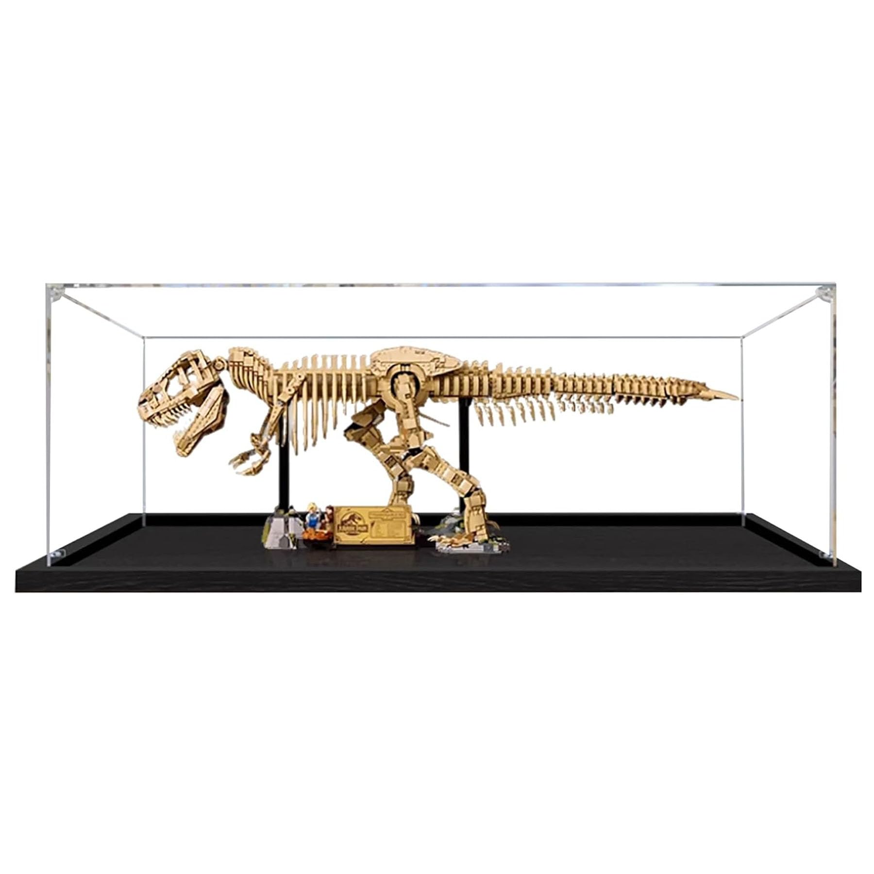 Amazon.com: Acrylic Display Case for Lego 76968 Dinosaur Fossil