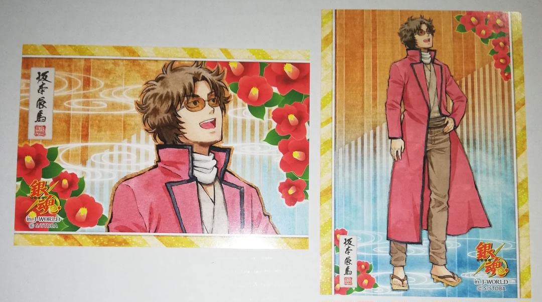 Amazon.co.jp: 銀魂 坂本辰馬 イラストシート セット 花鳥風月 J-WORLD