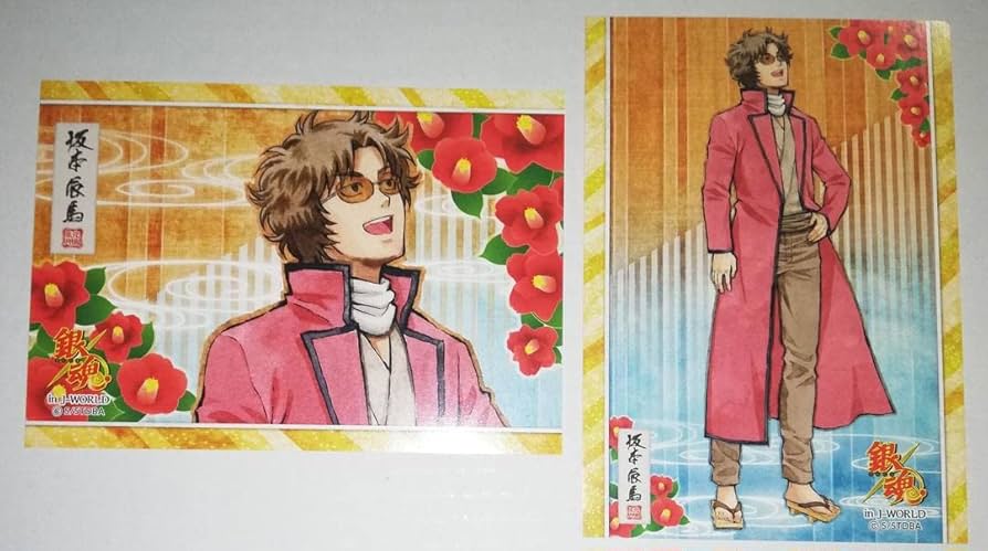 Amazon.co.jp: 銀魂 坂本辰馬 イラストシート セット 花鳥風月 J-WORLD