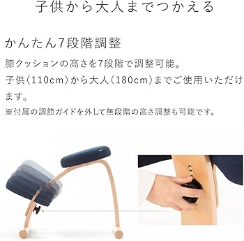 Amazon.co.jp: バランスラボ バランスイージー ショートフレーム 通常