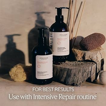 Amazon.com: L'Occitane Intensive Repair Shampoo 16.90 fl. oz