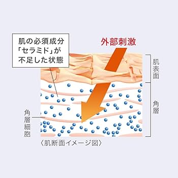 Amazon | キュレル 潤浸保湿 フェイスクリーム 70g【フェイス