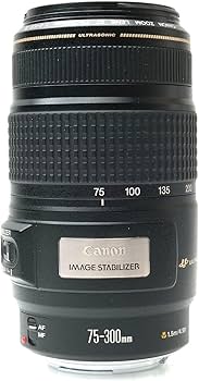 Canon EF 75-300mm f/4-5.6 is USM Telephoto Zoom Lens for Canon SLR